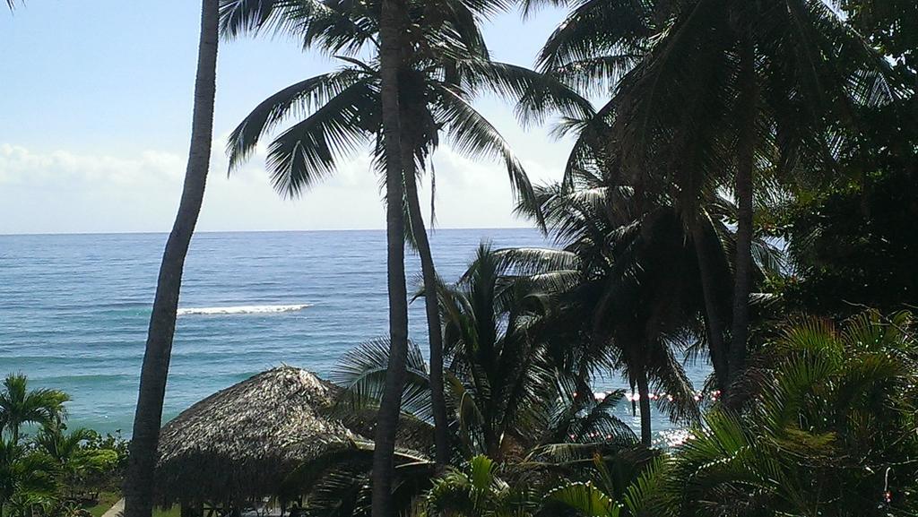 Hotel El Quemaito - Luxury Oceanfront Retreat Barahona 외부 사진