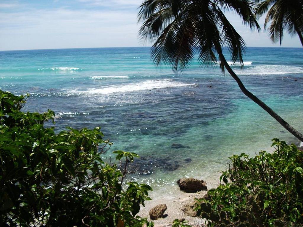 Hotel El Quemaito - Luxury Oceanfront Retreat Barahona 외부 사진