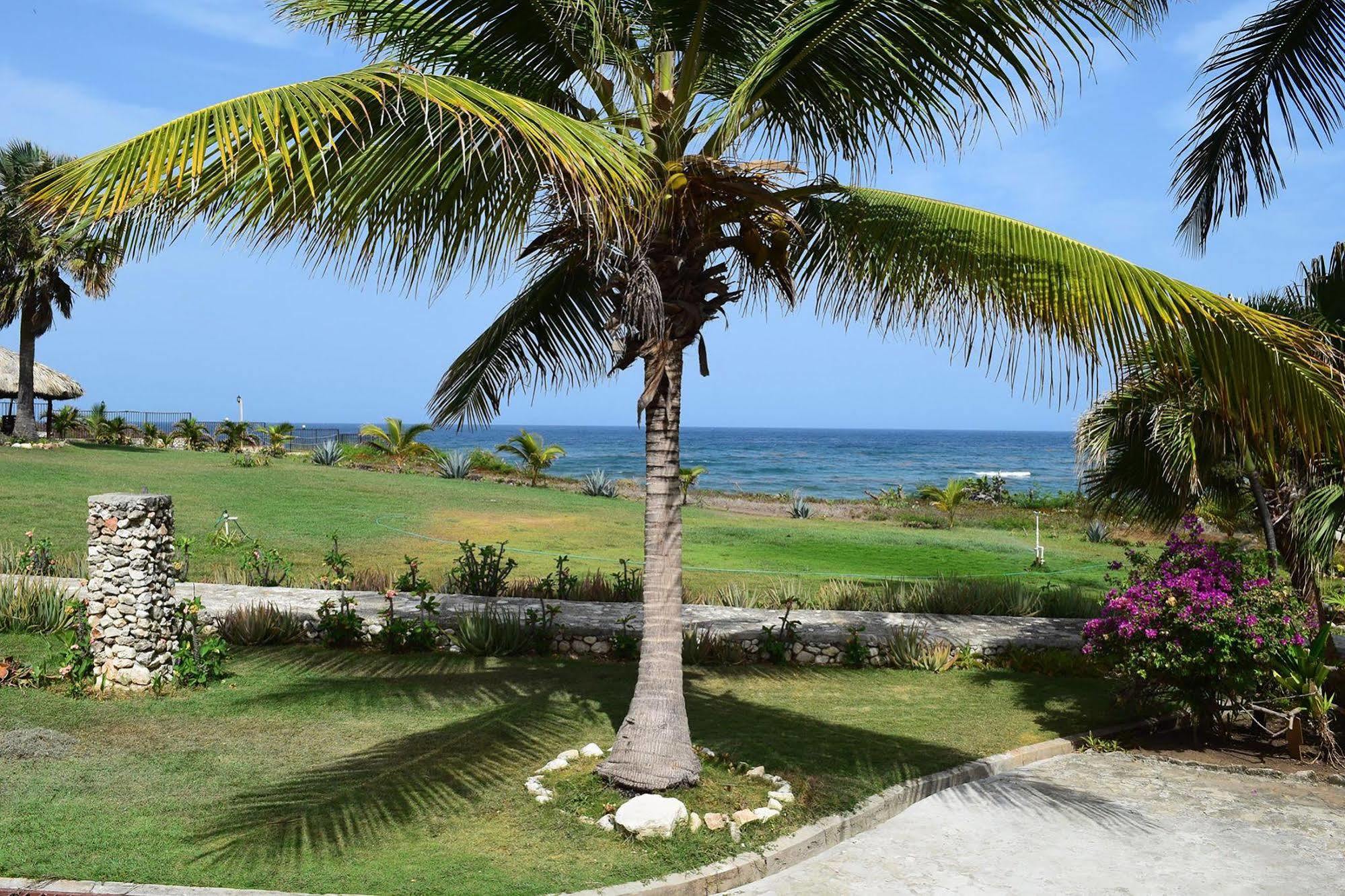 Hotel El Quemaito - Luxury Oceanfront Retreat Barahona 외부 사진